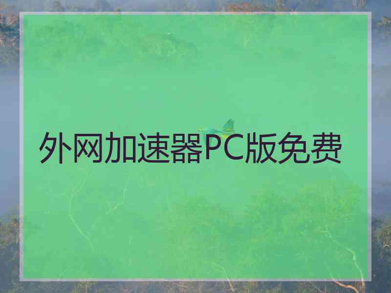 外网加速器PC版免费