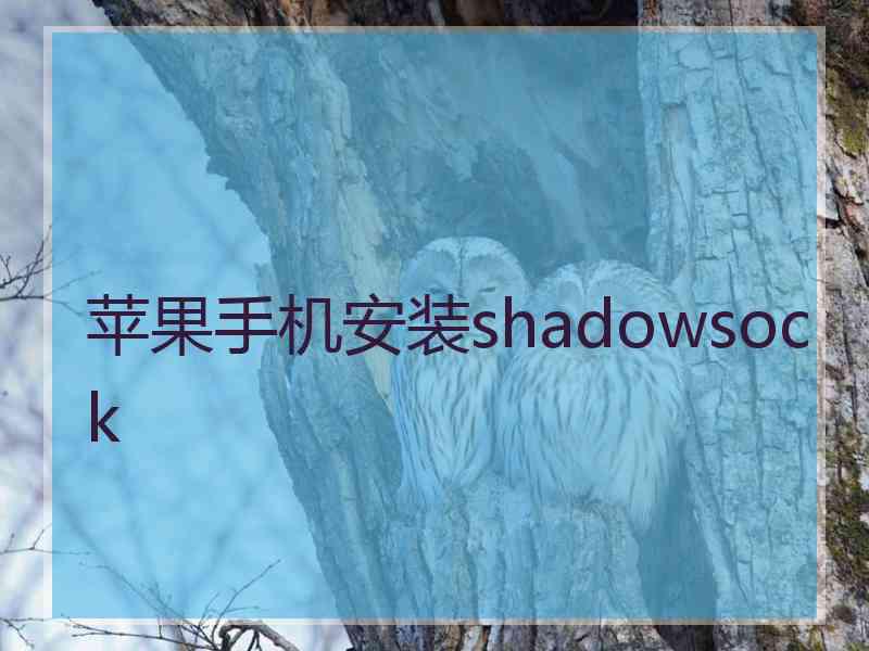 苹果手机安装shadowsock