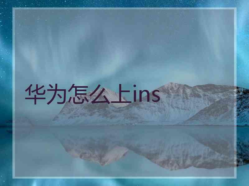 华为怎么上ins