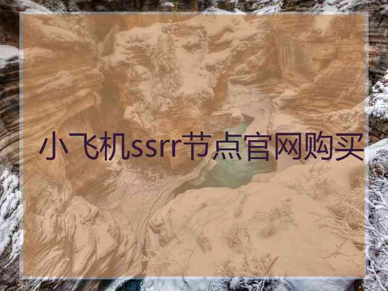 小飞机ssrr节点官网购买