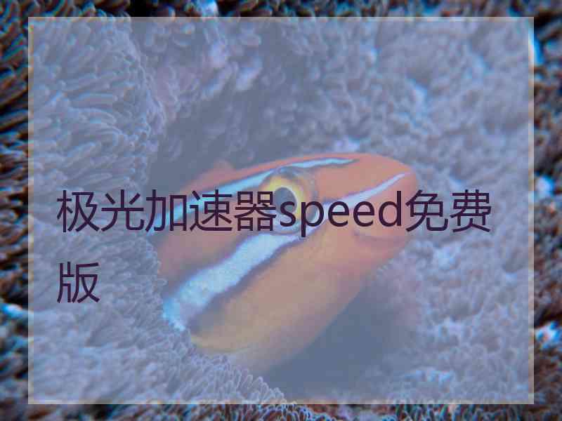 极光加速器speed免费版