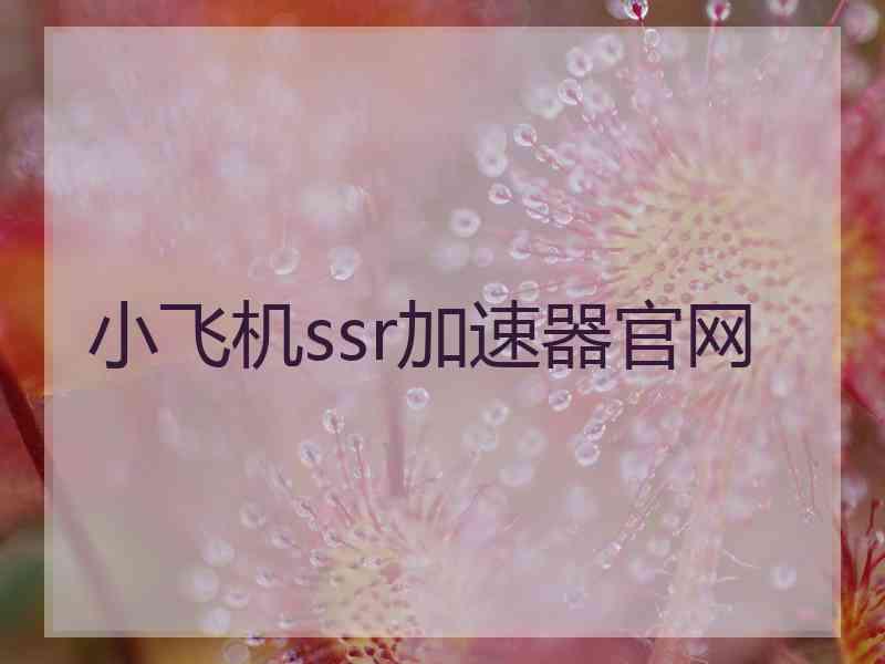 小飞机ssr加速器官网