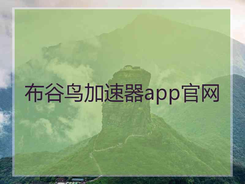 布谷鸟加速器app官网