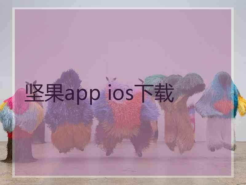 坚果app ios下载