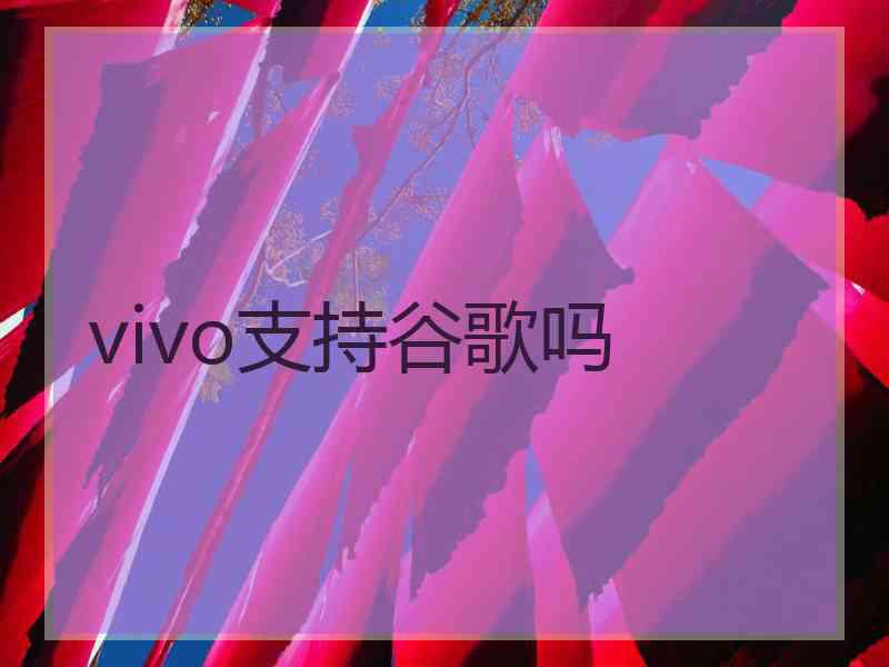 vivo支持谷歌吗