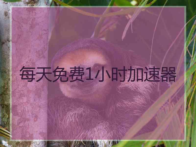 每天免费1小时加速器