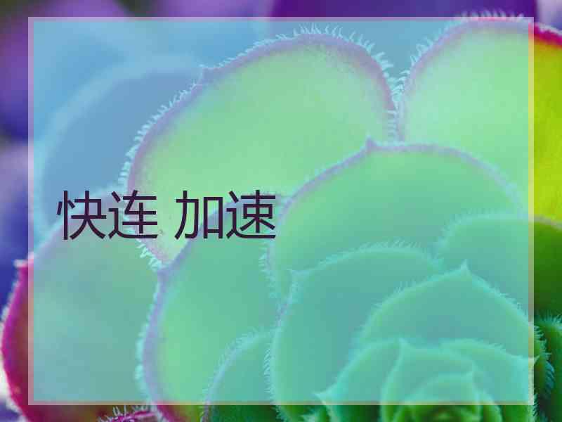 快连 加速