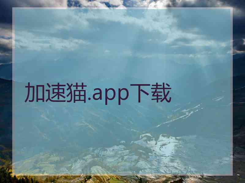 加速猫.app下载