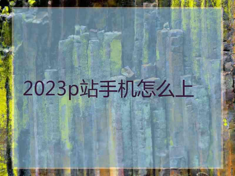 2023p站手机怎么上