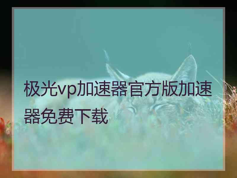 极光vp加速器官方版加速器免费下载