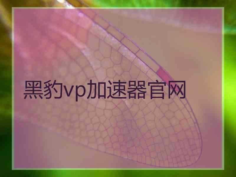 黑豹vp加速器官网