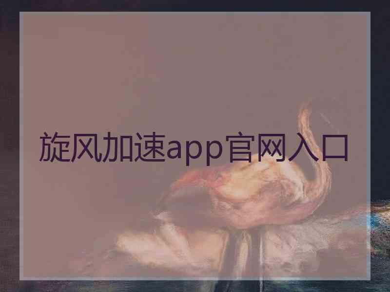 旋风加速app官网入口