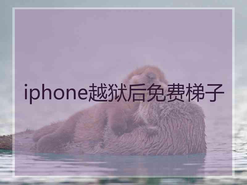 iphone越狱后免费梯子