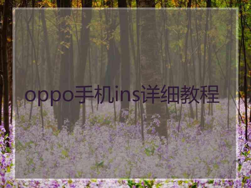 oppo手机ins详细教程