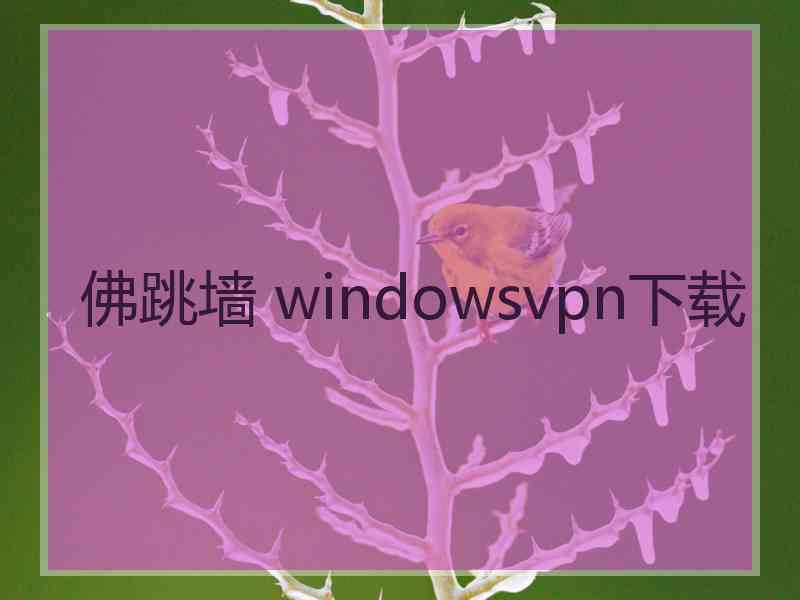 佛跳墙 windowsvpn下载