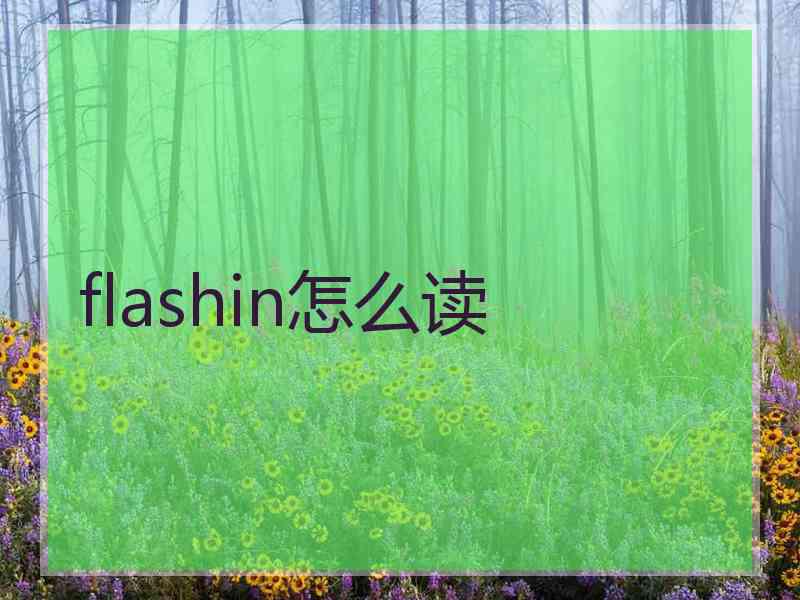 flashin怎么读