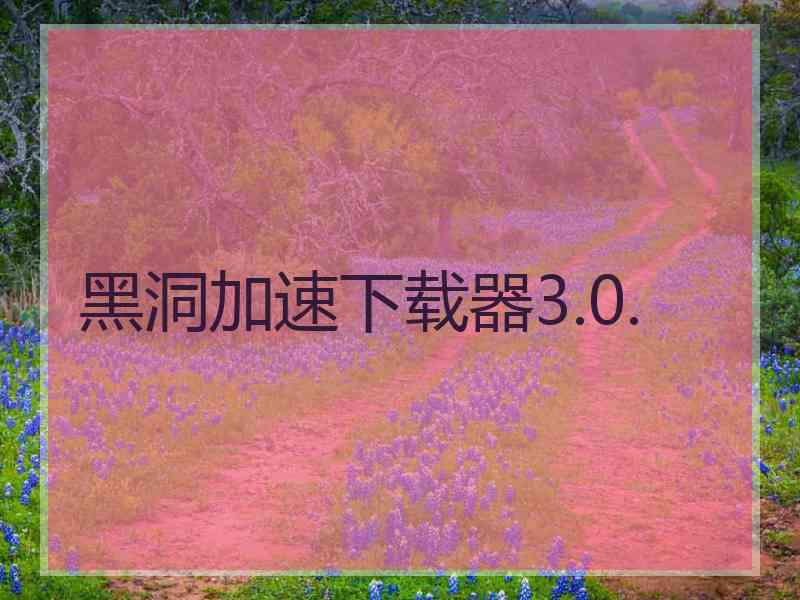 黑洞加速下载器3.0.