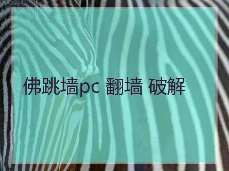 佛跳墙pc 翻墙 破解