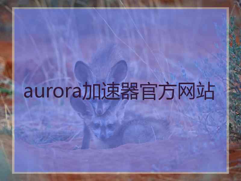 aurora加速器官方网站