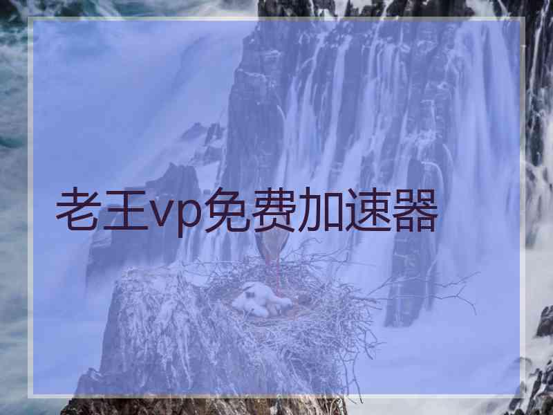 老王vp免费加速器