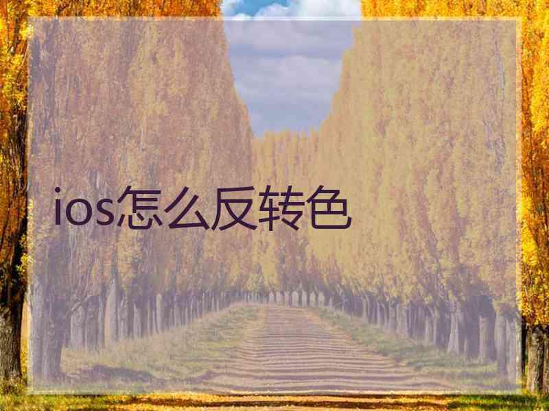 ios怎么反转色