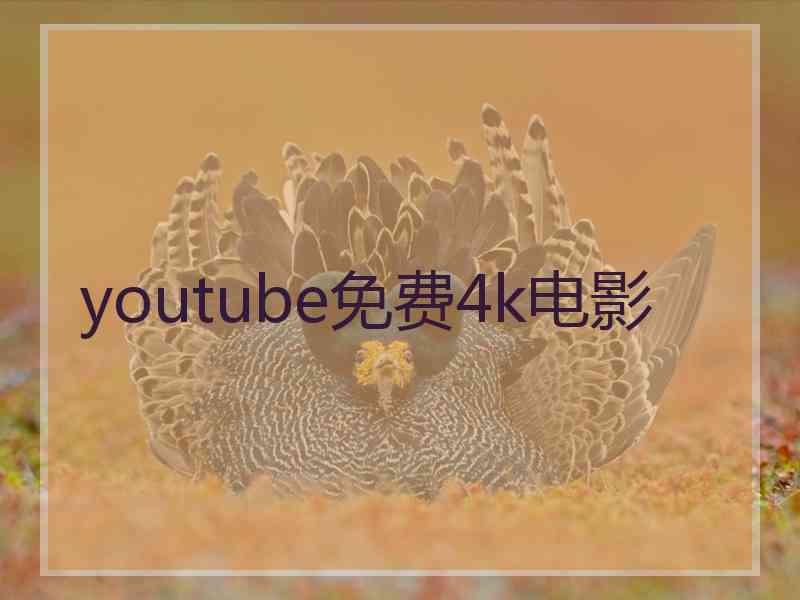 youtube免费4k电影