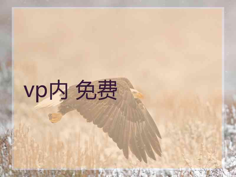 vp内 免费