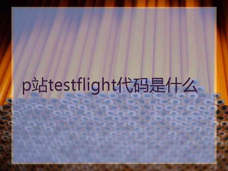 p站testflight代码是什么