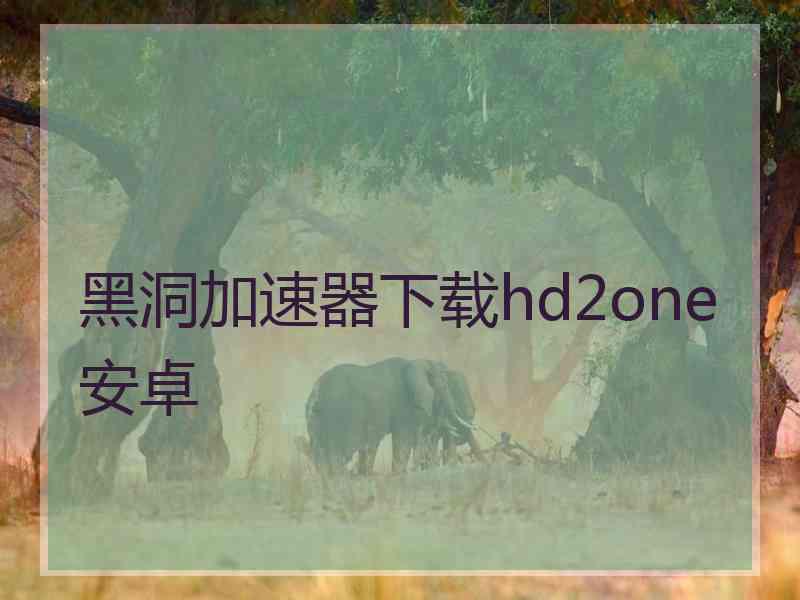 黑洞加速器下载hd2one安卓