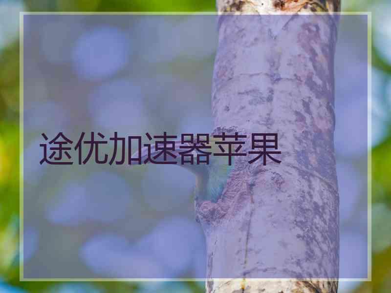 途优加速器苹果