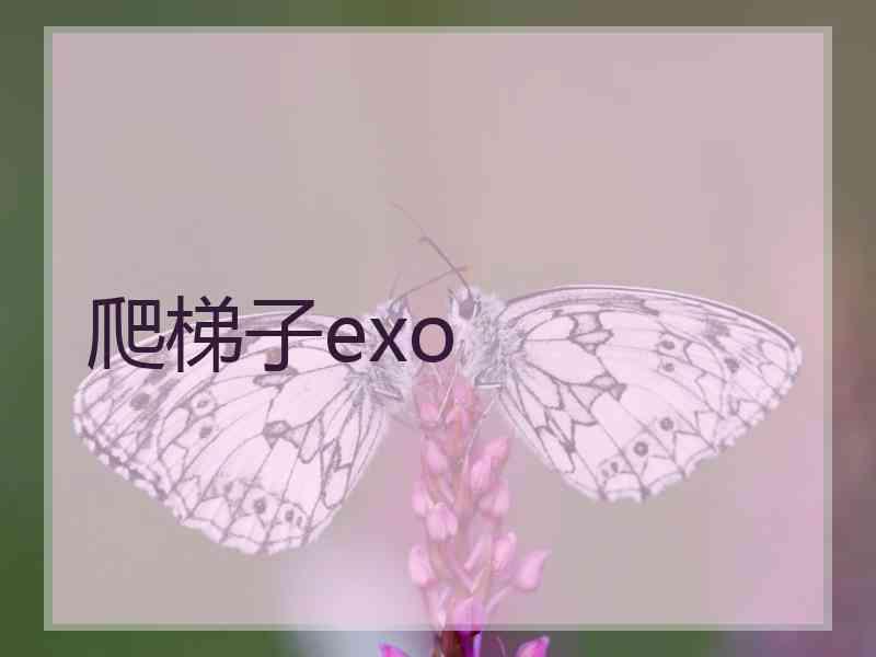 爬梯子exo