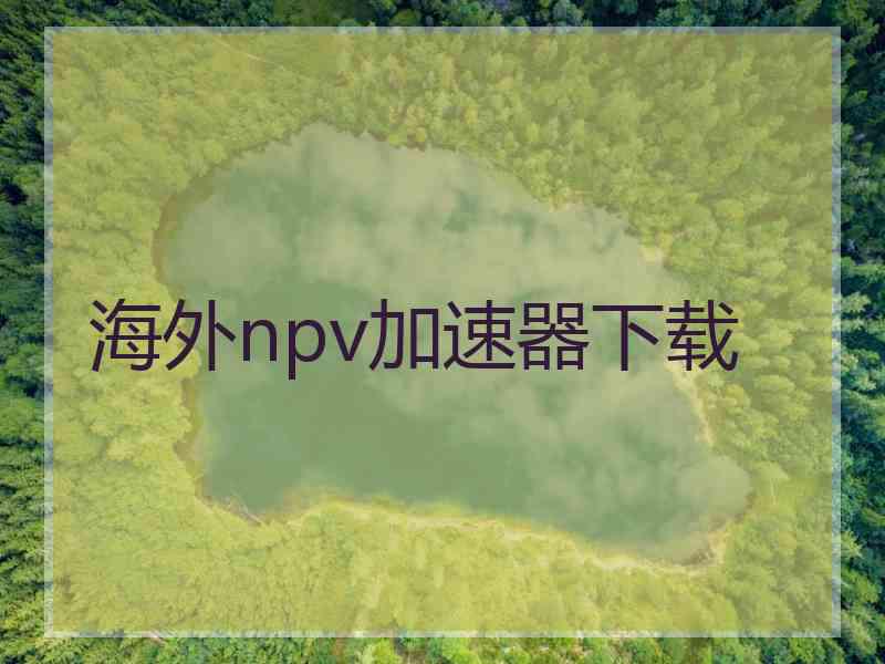 海外npv加速器下载