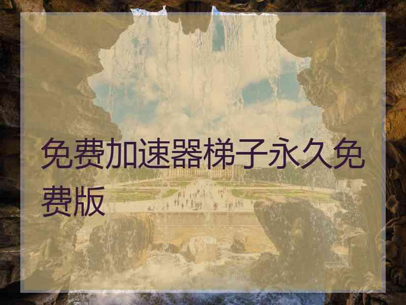 免费加速器梯子永久免费版