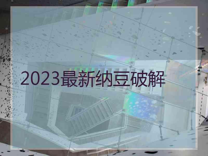 2023最新纳豆破解