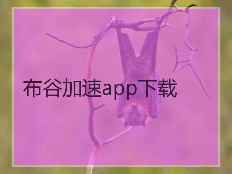 布谷加速app下载