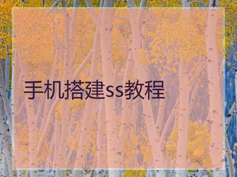 手机搭建ss教程