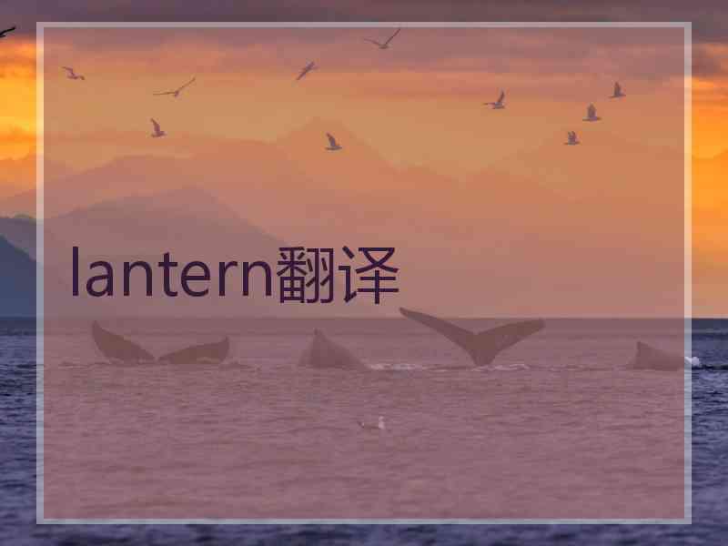 lantern翻译