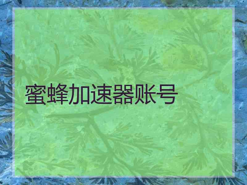 蜜蜂加速器账号