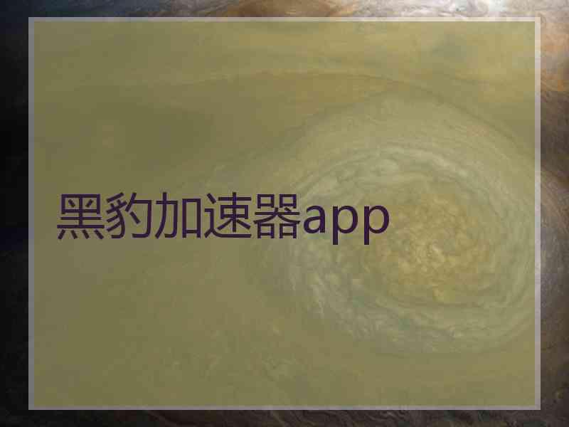 黑豹加速器app