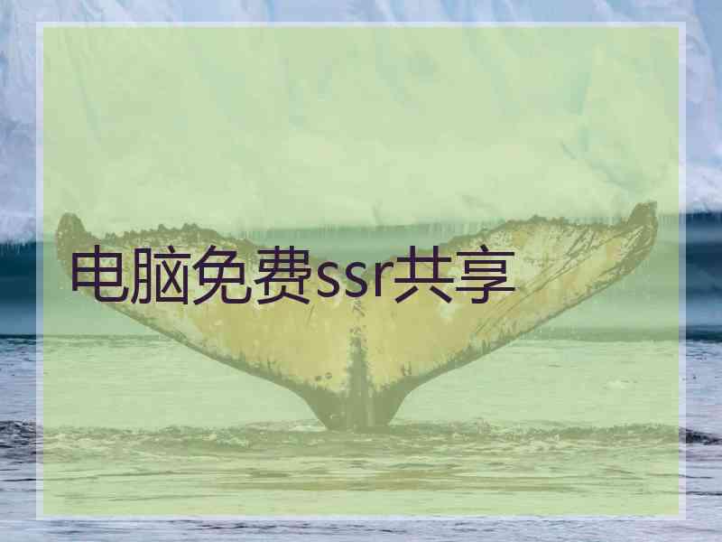 电脑免费ssr共享