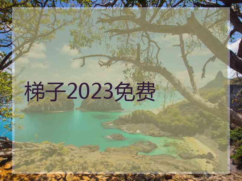 梯子2023免费