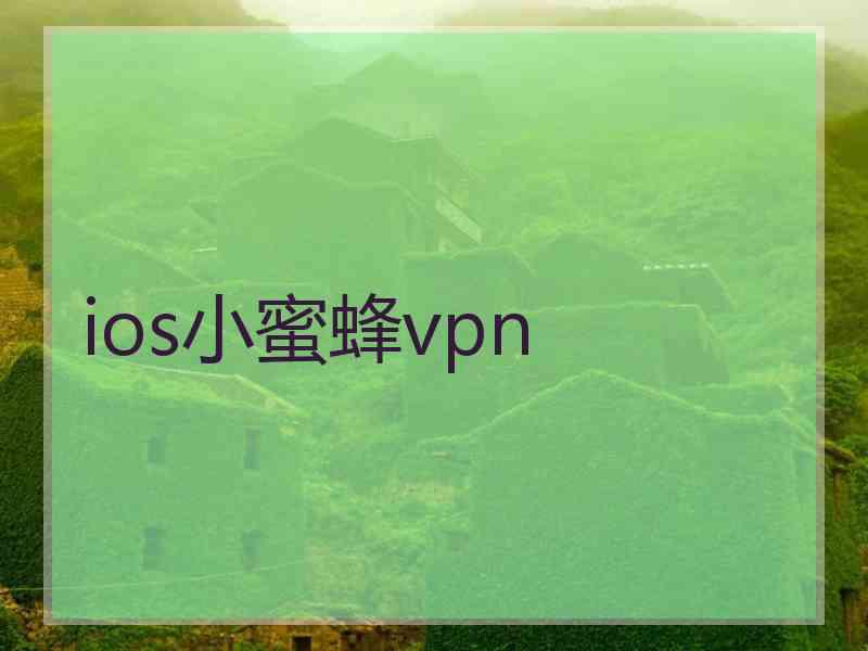 ios小蜜蜂vpn