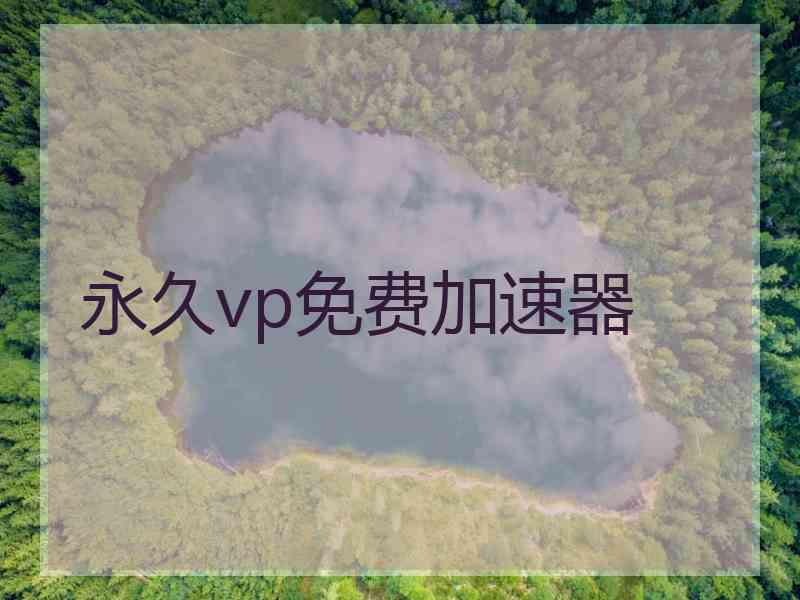 永久vp免费加速器