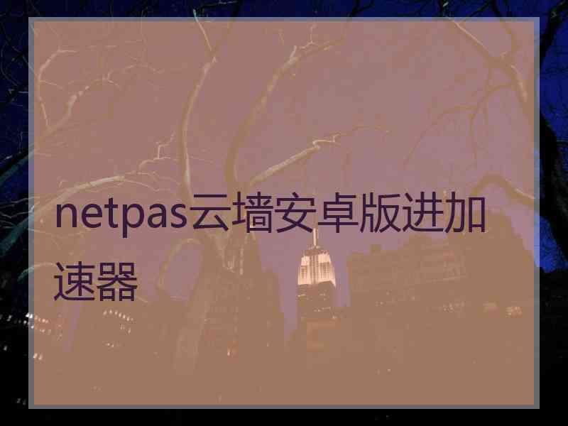 netpas云墙安卓版进加速器