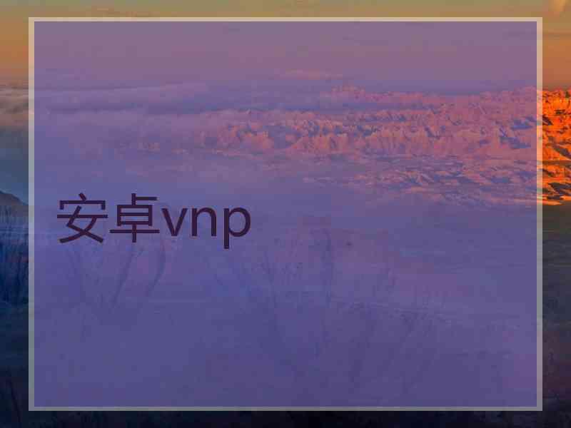 安卓vnp