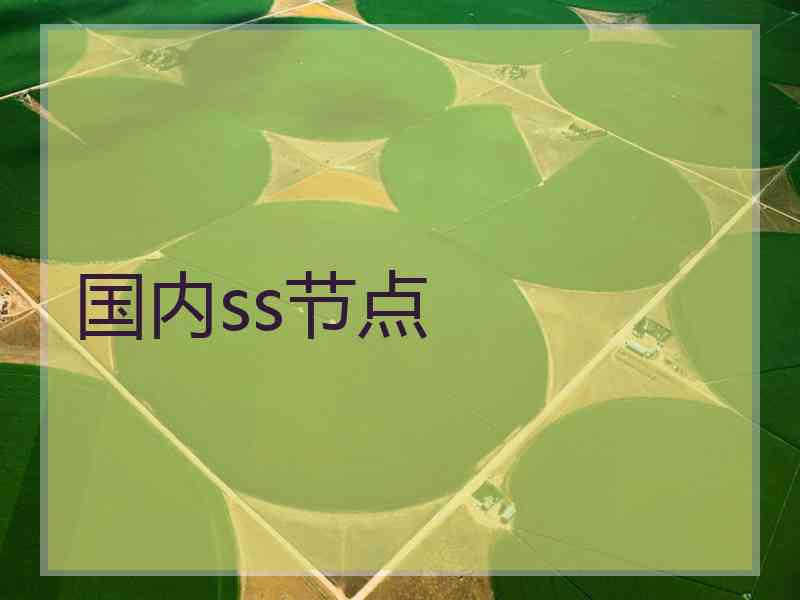 国内ss节点