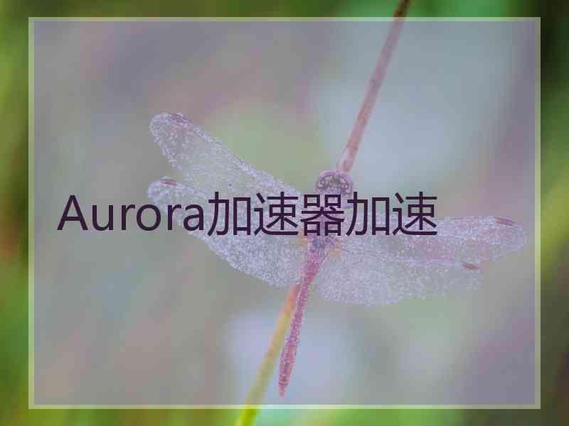 Aurora加速器加速