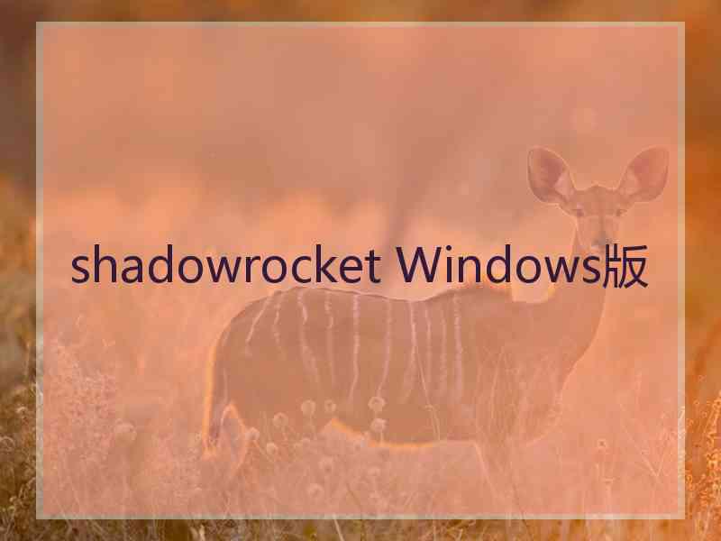 shadowrocket Windows版