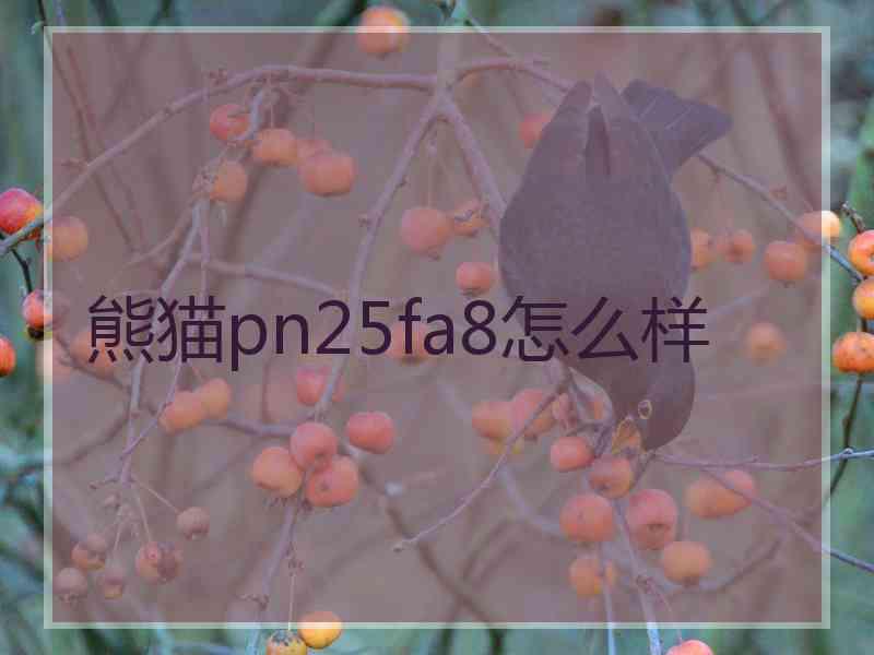 熊猫pn25fa8怎么样