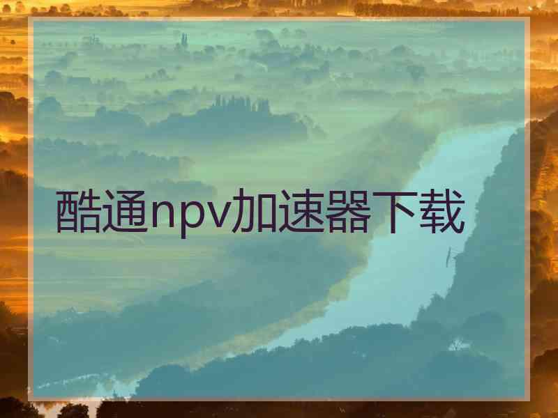 酷通npv加速器下载